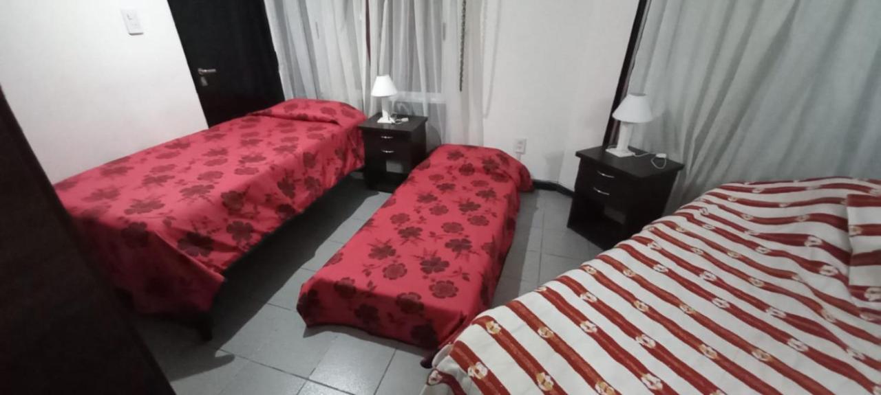 Apartamentos Willy - En Zona Residencial Con Estacionamiento Mendoza Zewnętrze zdjęcie